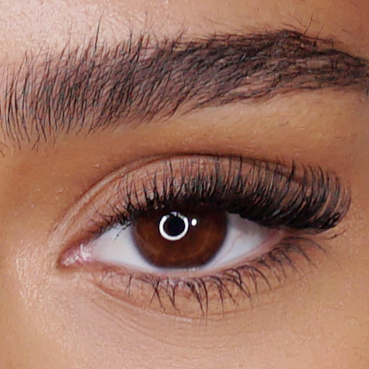 pro-lashes04